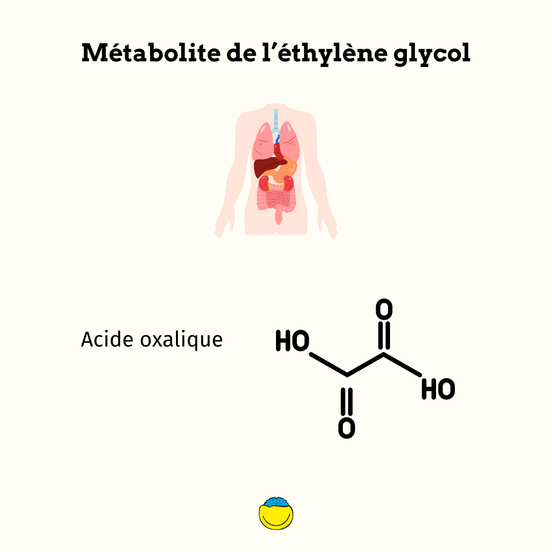 Metabolite de l'éthylène glycol